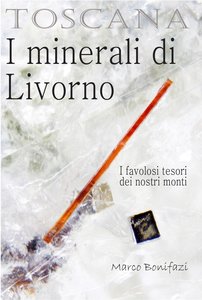 Libro I minerali di Livorno
