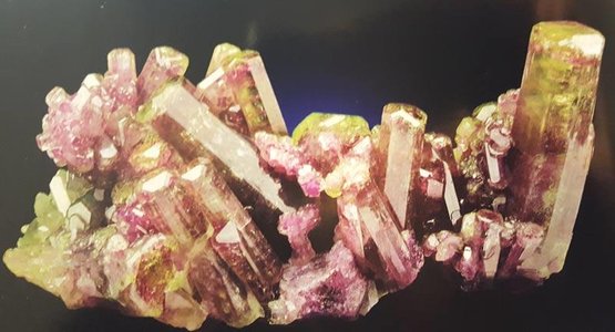 orig162_282_174861687