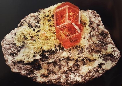 orig162_283_389743497