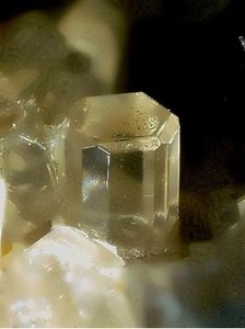 Cristallo di Liottite di Fosso Attici, Magliano Romano - foto di Enrico Bonacina.